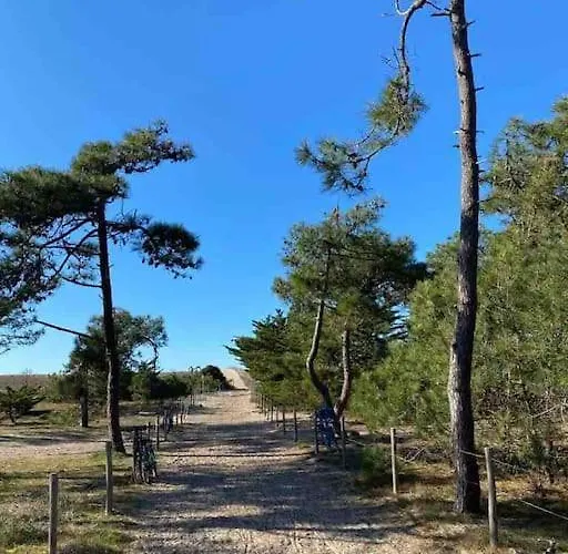 Maison Pecheur Dans Le Banzeau * Noirmoutier-en-l'Île
