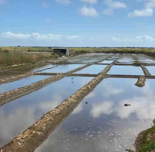 Hébergement de vacances Maison Pecheur Dans Le Banzeau *